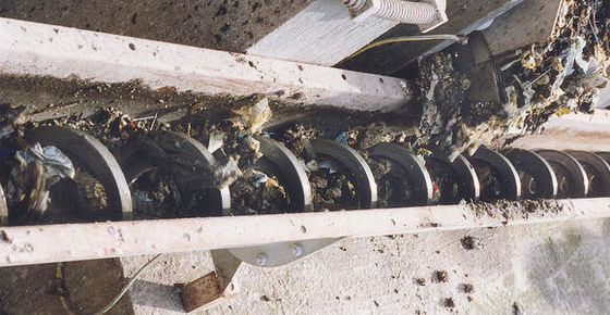 نوار نقاله تسمه پیچ تک شافت برای کارخانه آب شهری